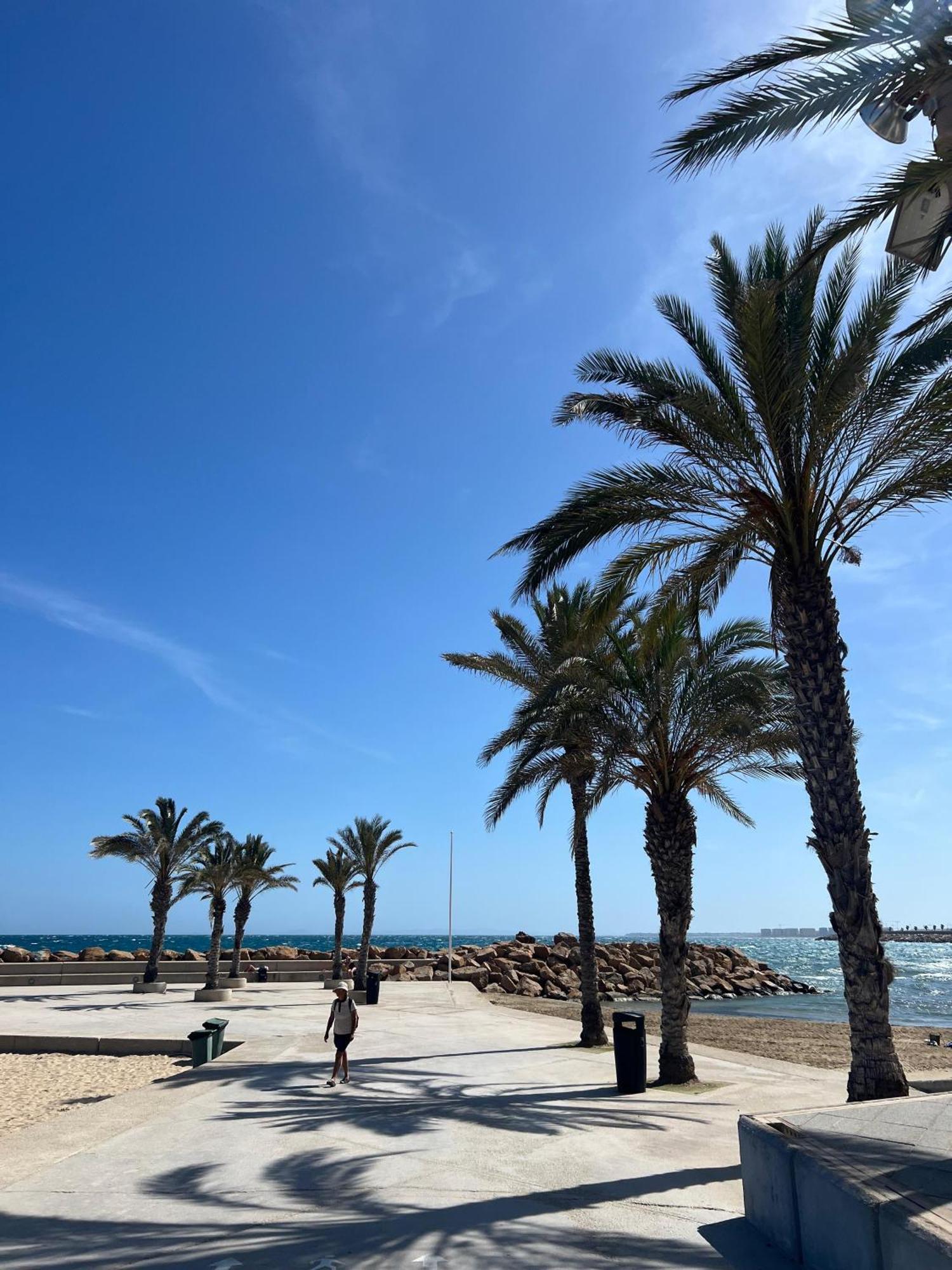 Appartement Torrevieja Alicante Eksteriør bilde