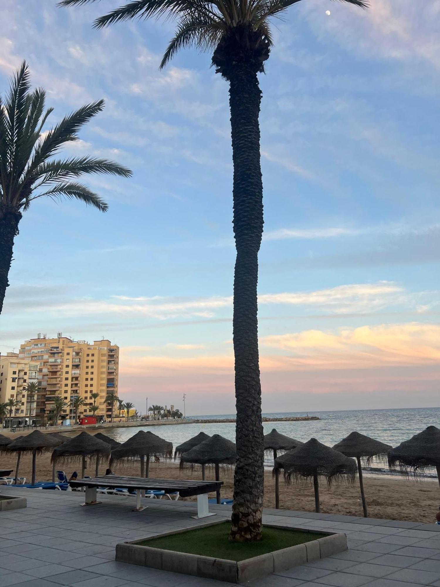 Appartement Torrevieja Alicante Eksteriør bilde